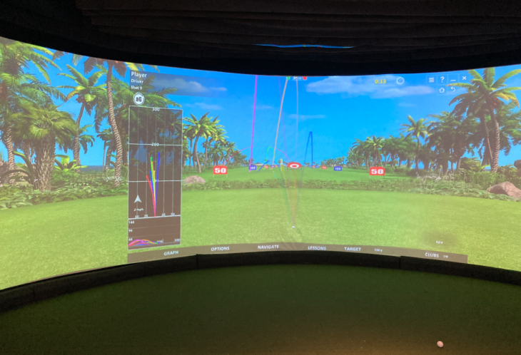 a screen shot of a golf game