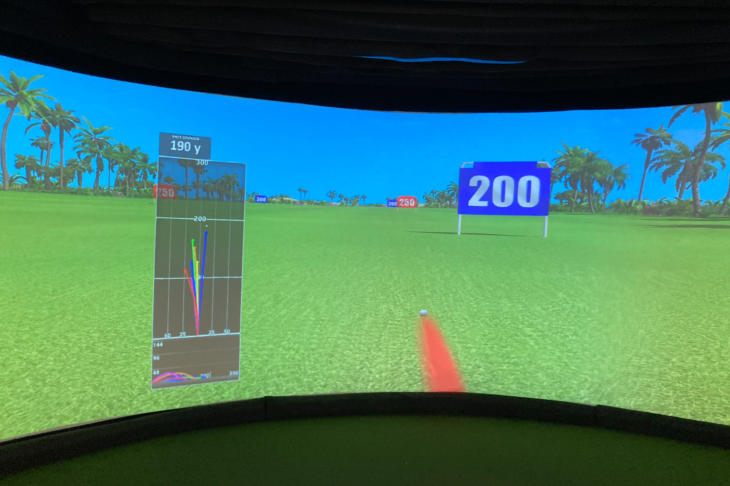 a screen shot of a golf course