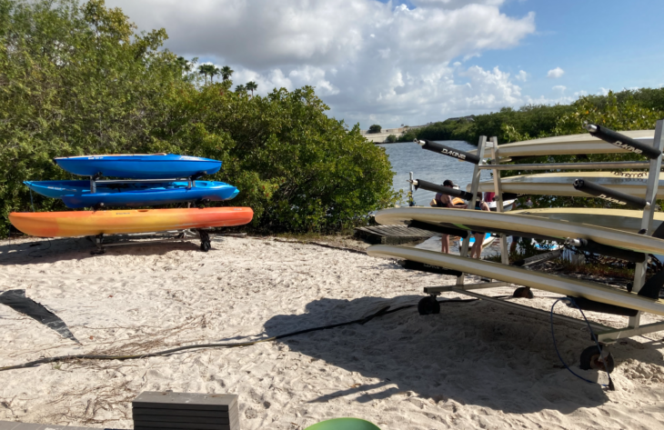 a group of kayaks on a beach