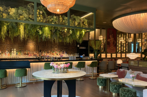 a room with a bar and a table with chairs and a plant above it